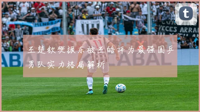 王楚钦樊振东被王皓评为最强国乒男队实力格局解析