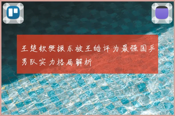 王楚钦樊振东被王皓评为最强国乒男队实力格局解析