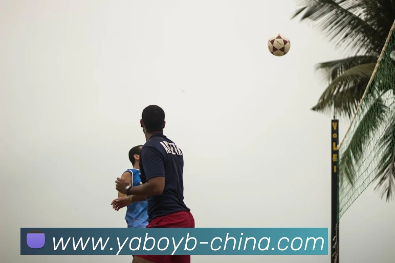 多媒体互动体验